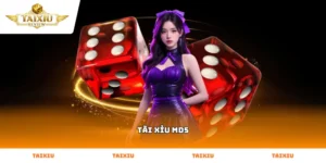 Những điều cần biết khi chơi Tài Xỉu MD5